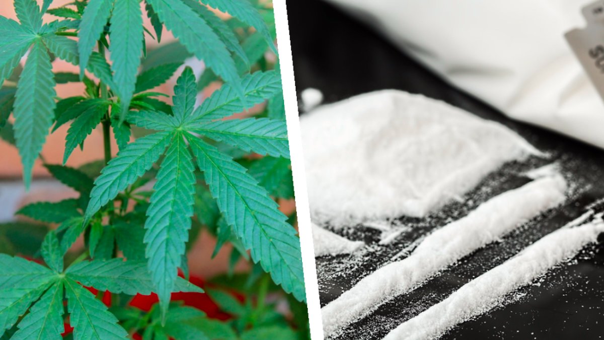Oregon legaliserar tunga droger. 